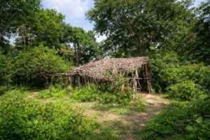 Estrutura rústica em área de mata densa, inspirada no local onde crianças desapareceram em Bacabal; imagem ilustrativa gerada por IA.